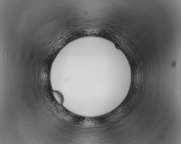 X0000115710608200912031529