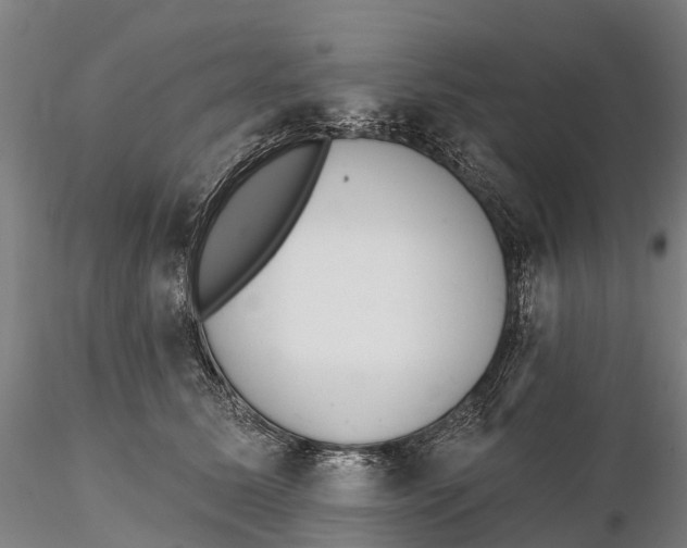 X0000115710611200912031529