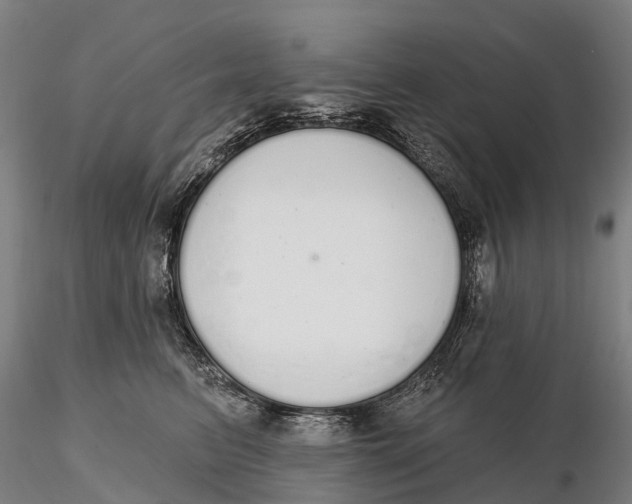 X0000115710615200912031529