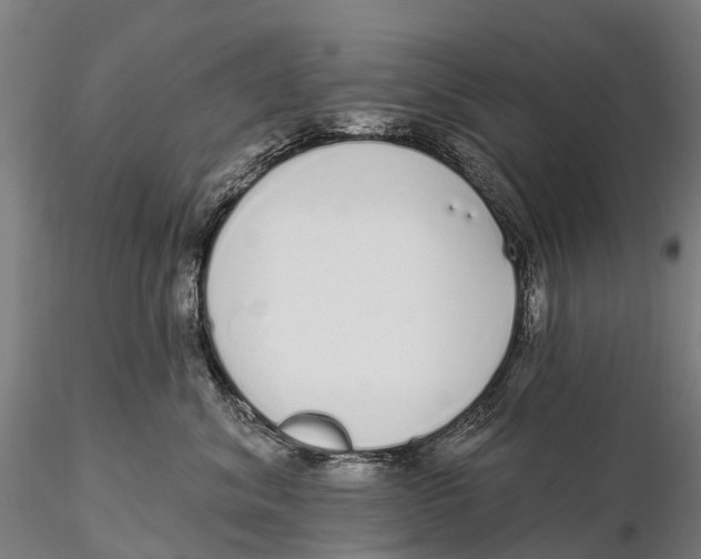 X0000115710620200912031529