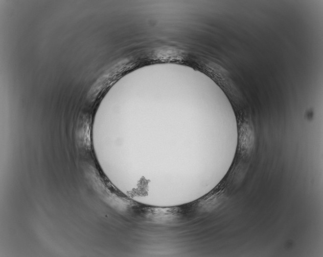 X0000115710622200912031529