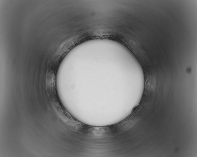 X0000115710623200912031529