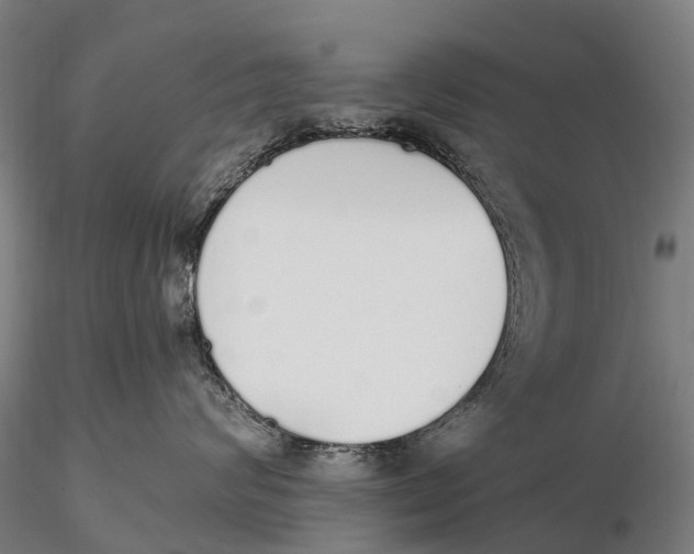 X0000115710624200912031529