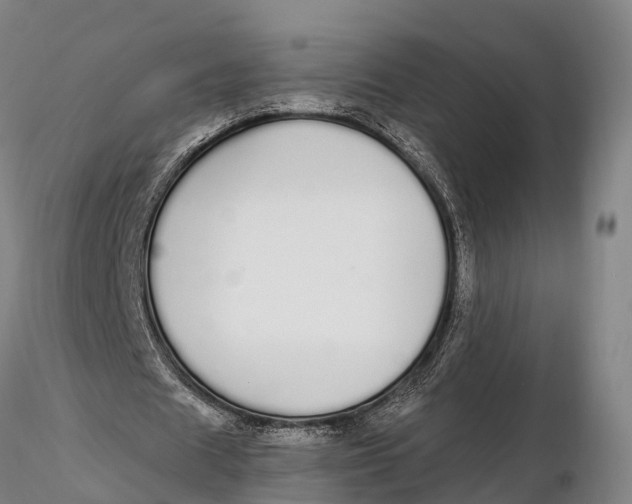 X0000115710625200912031529