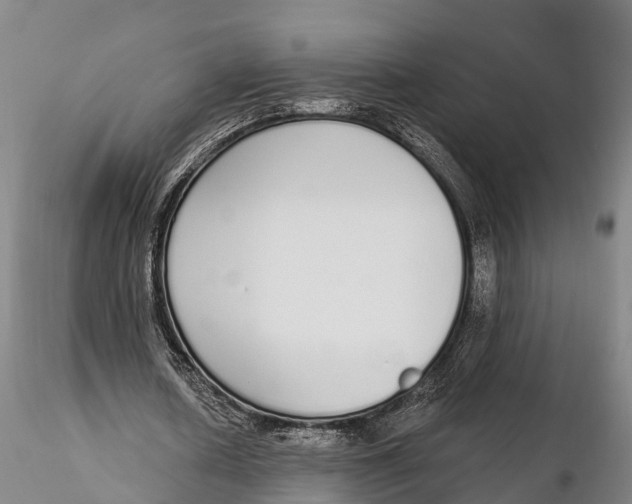 X0000115710626200912031529