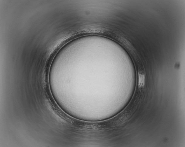 X0000115710627200912031529