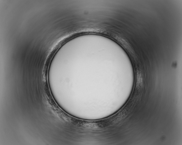 X0000115710628200912031529