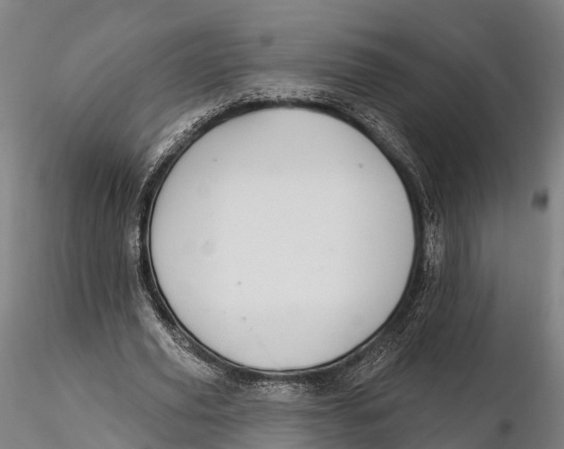 X0000115710629200912031529