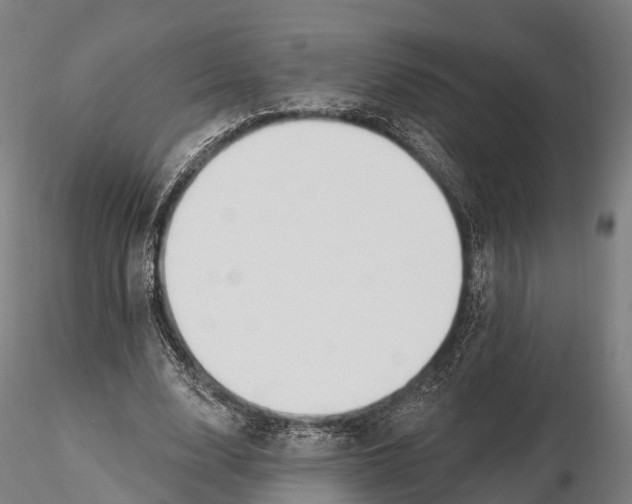 X0000115710632200912031529