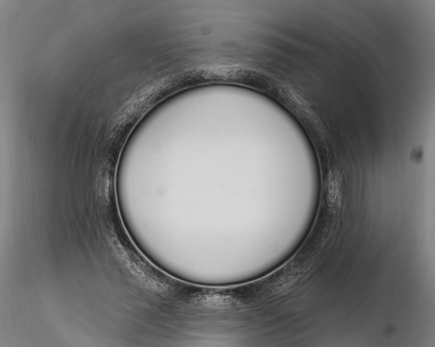 X0000115710637200912031529