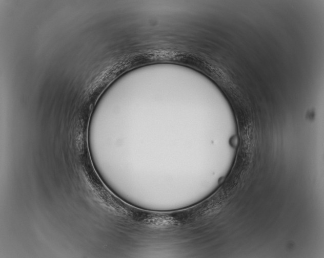 X0000115710642200912031529