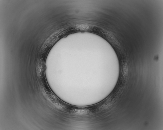 X0000115710645200912031529