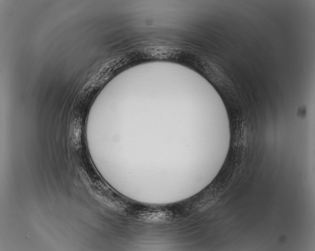 X0000115710646200912031529