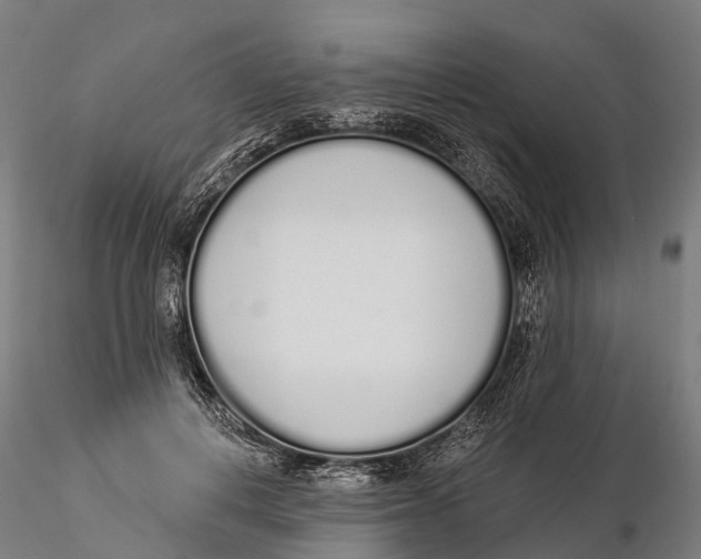 X0000115710648200912031529