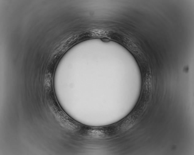 X0000115710649200912031529