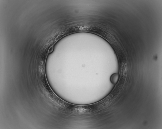 X0000115710650200912031529