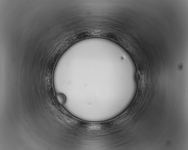 X0000115710653200912031529