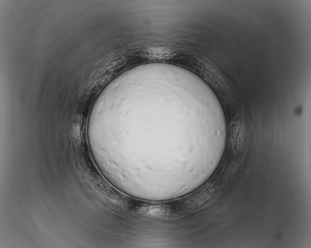 X0000115710655200912031529