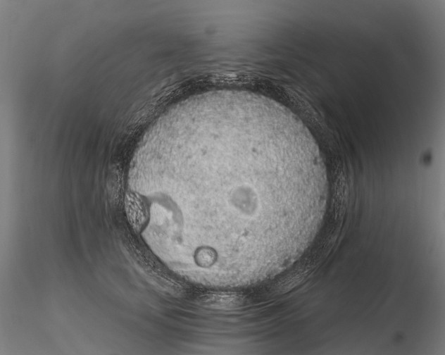 X0000115710659200912031529