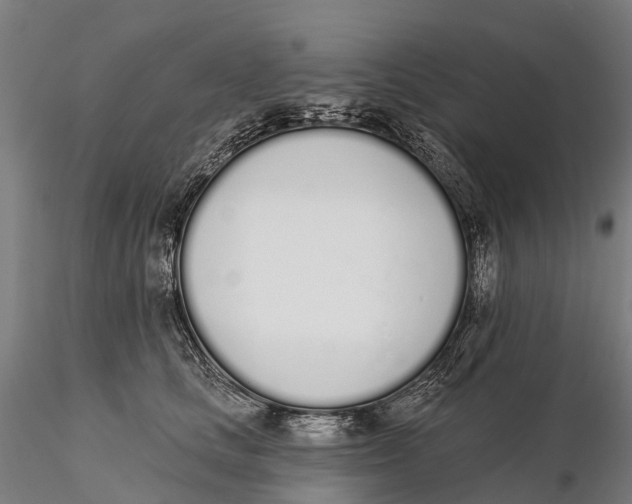 X0000115710661200912031529