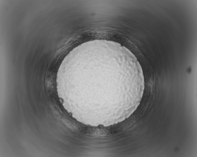 X0000115710663200912031529