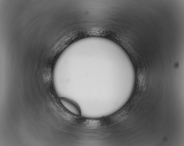 X0000115710665200912031529