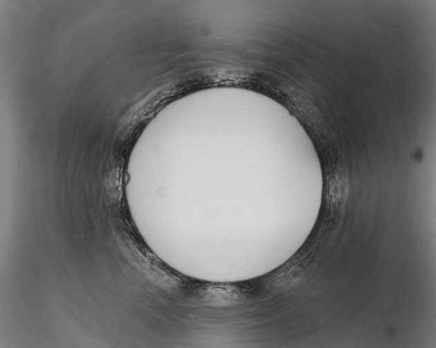 X0000115710666200912031529