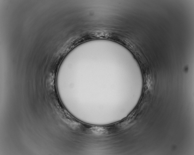 X0000115710667200912031529