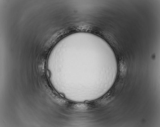 X0000115710668200912031529