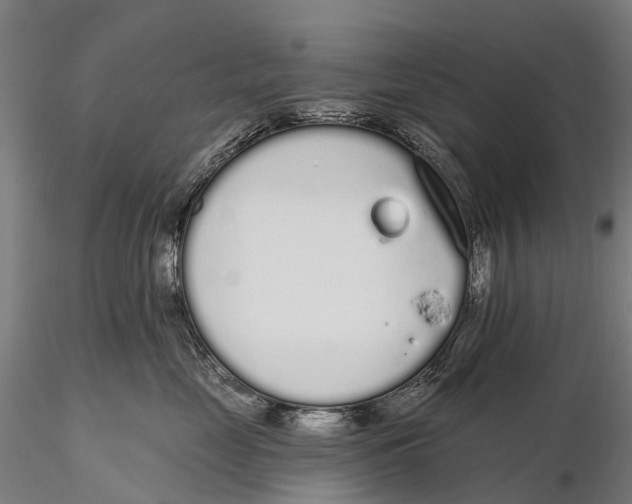 X0000115710669200912031529