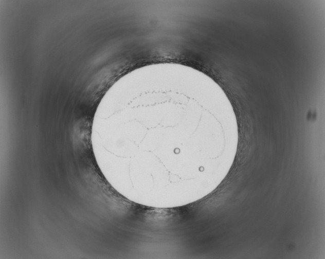 X0000115710672200912031529