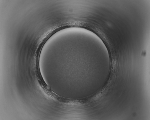 X0000115710674200912031529