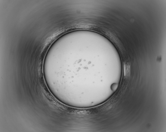 X0000115710675200912031529