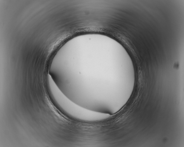 X0000115710677200912031528