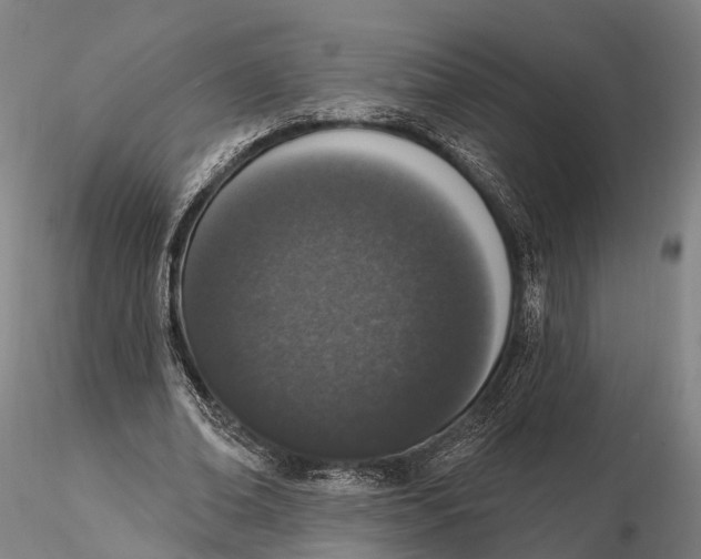 X0000115710678200912031528