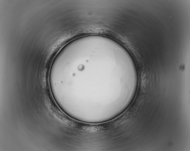 X0000115710679200912031528