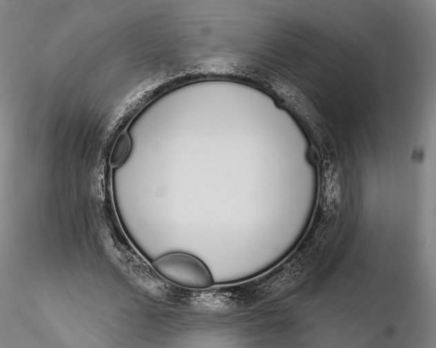 X0000115710680200912031528