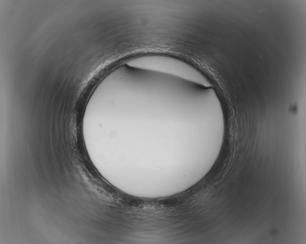 X0000115710684200912031528