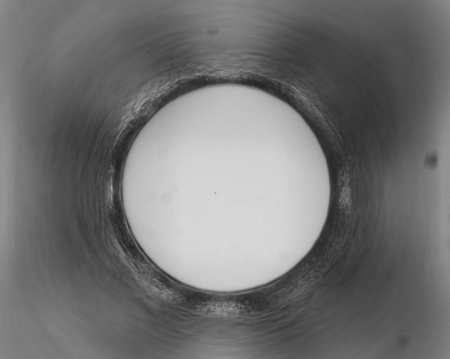 X0000115710685200912031528