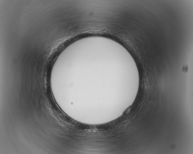 X0000115710688200912031528