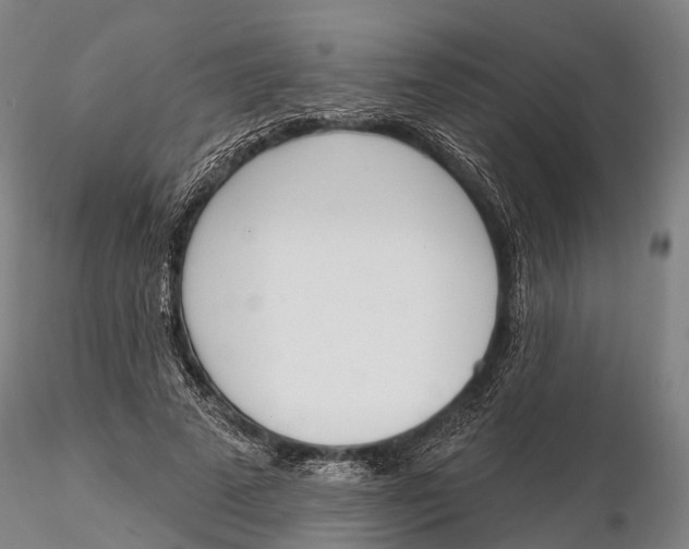 X0000115710689200912031528