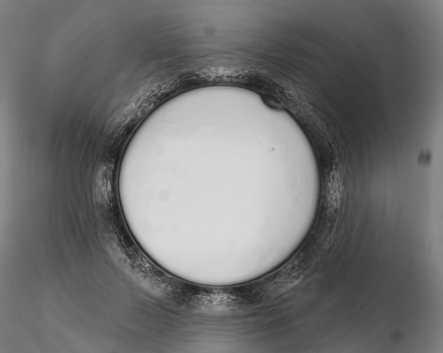 X0000115710695200912031528