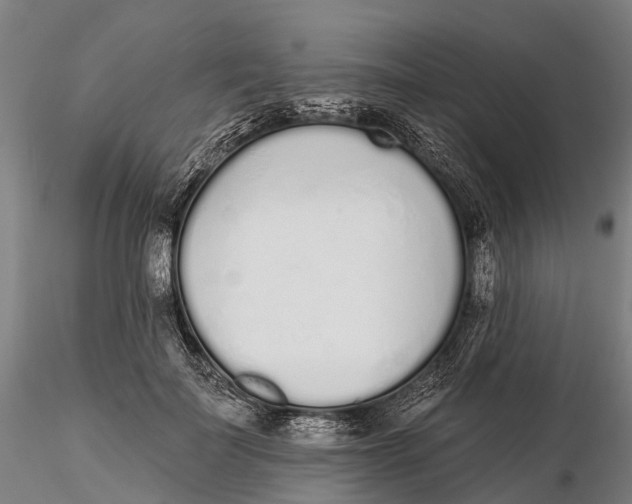 X0000115710699200912031528