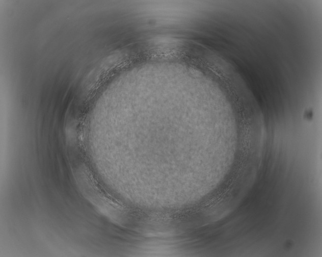 X0000115710701200912031528