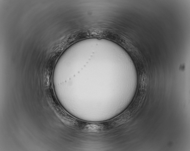 X0000115710703200912031528