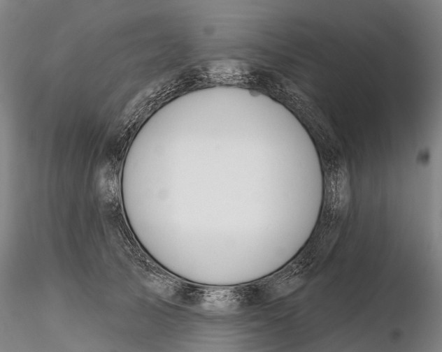 X0000115710705200912031528