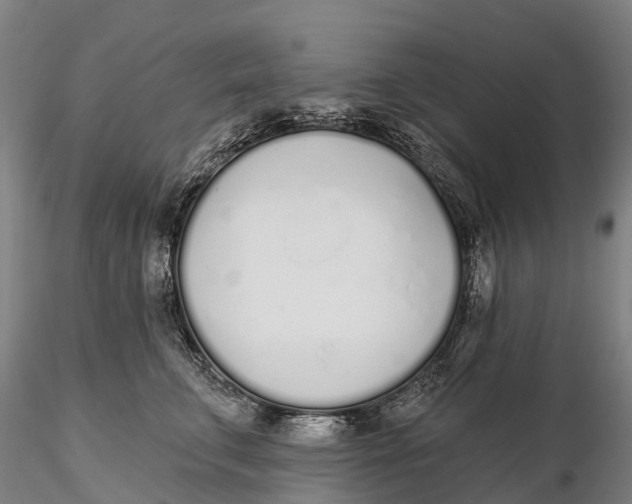 X0000115710711200912031528