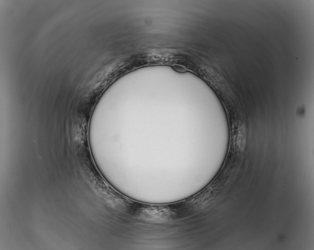 X0000115710712200912031528