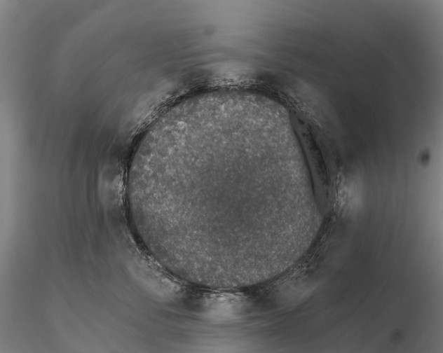 X0000115710716200912031528