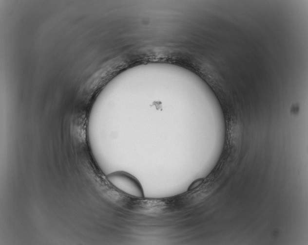 X0000115710719200912031528